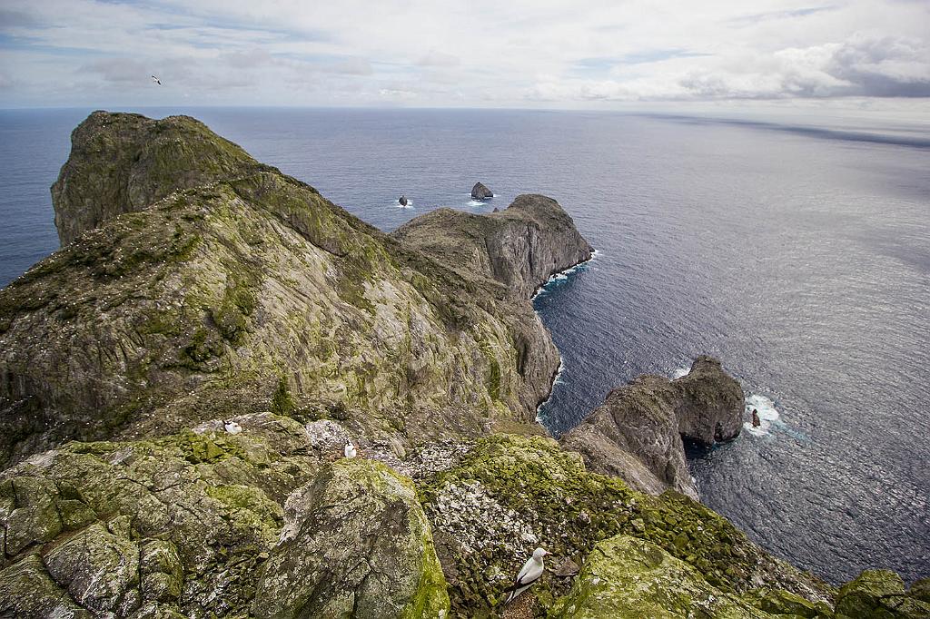 190921_Paisaje Malpelo.jpg